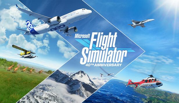 Flight Simulator