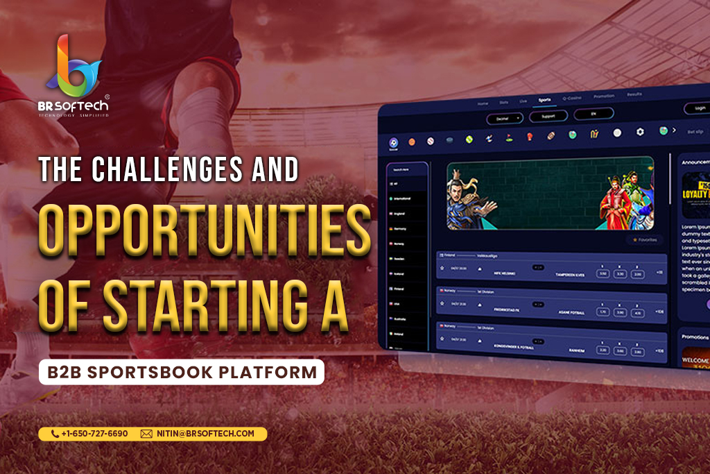 Starting a B2B Sportsbook Platform