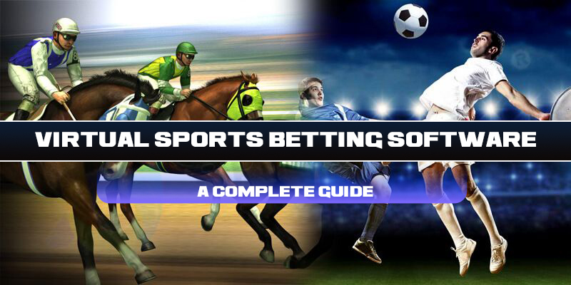 virtual sports betting software