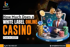 How Much Does a White Label Online Casino Cost